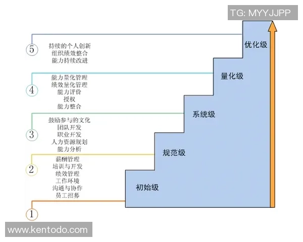 南京羽毛球队精英赛个人能力分析与表现评估